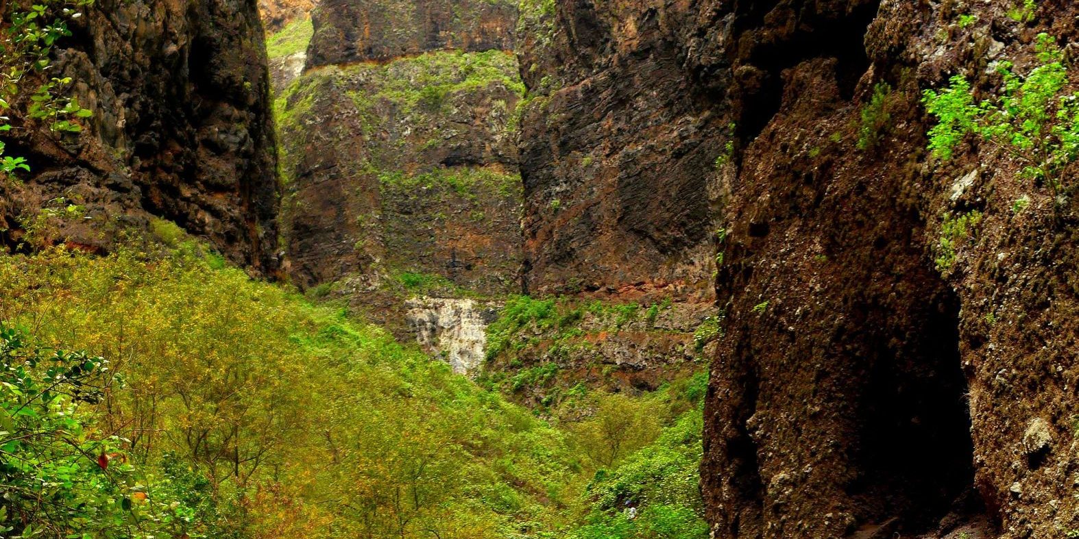 Paredes rocosas y vegetación en el interior del Barranco del Infierno